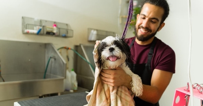 What Insurance Do Regina Pet Groomers Need