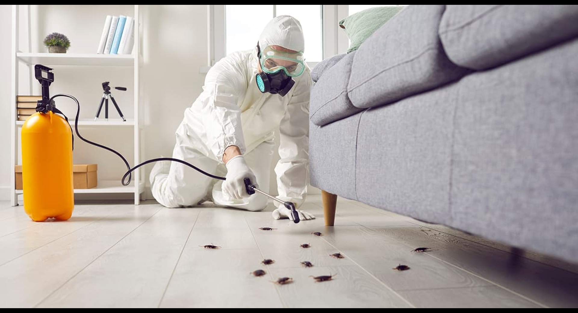 What Insurance Do Regina Pest Control Businesses Need