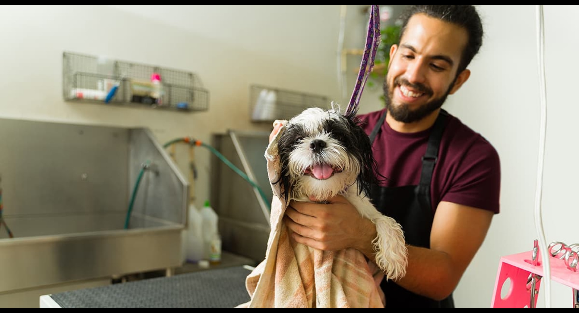 What Insurance Do Regina Pet Groomers Need